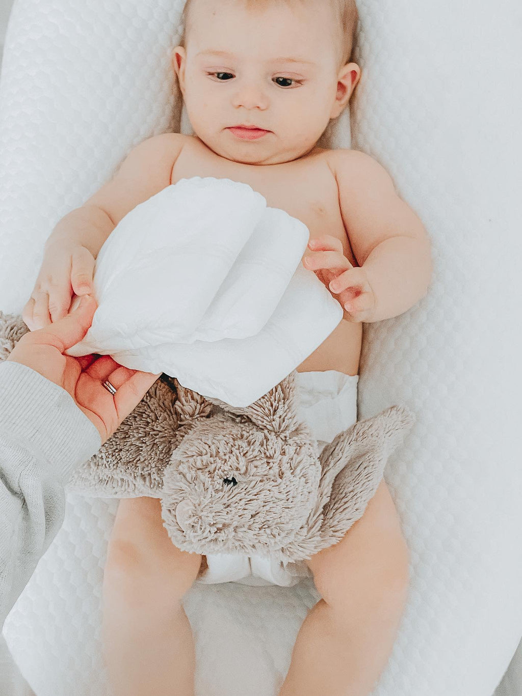 Cuddle-Kin Plant Diapers - Guaranteed Rash & Leak-Free